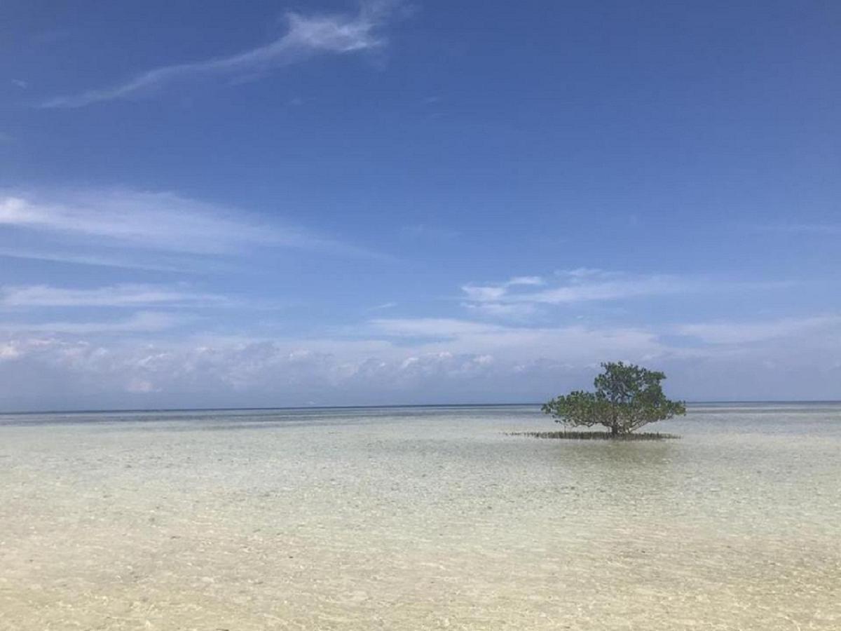 Irish Lodge Panglao Exteriör bild